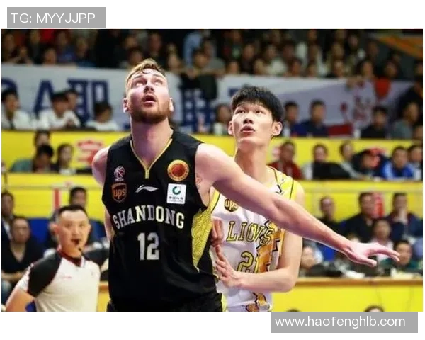 西安羽毛球队阵地战体系探讨与战术应用分析